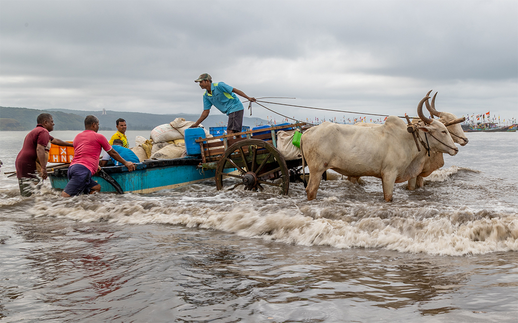 Fishing Activities by Vinaya Mathews (Group 5)
